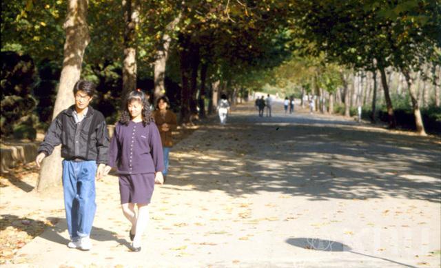 90년대 가을 의 사진