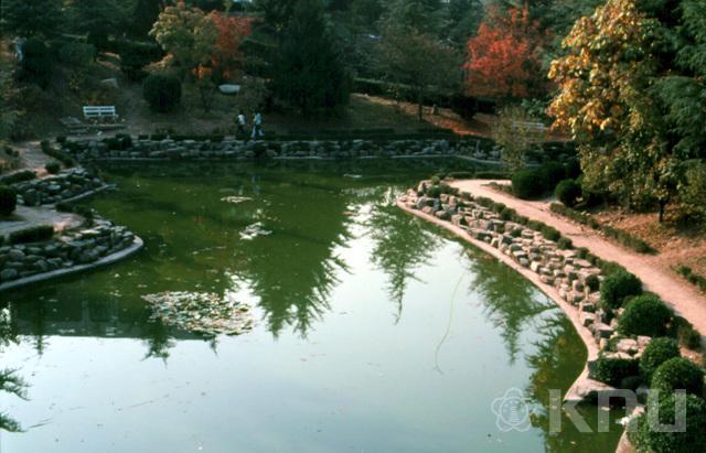야외공연장앞 지도못 의 사진