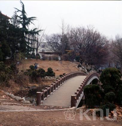 겨울 만오원(2001) 의 사진