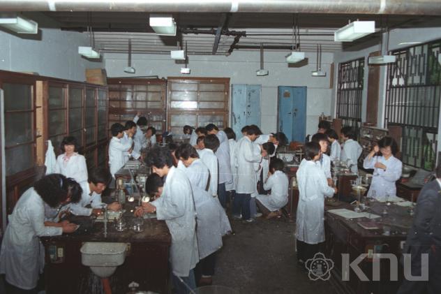 화학실험 의 사진