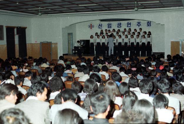 신입생 연주회(1981) 의 사진