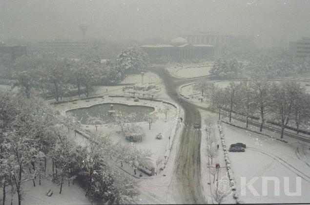 겨울(1998) 의 사진