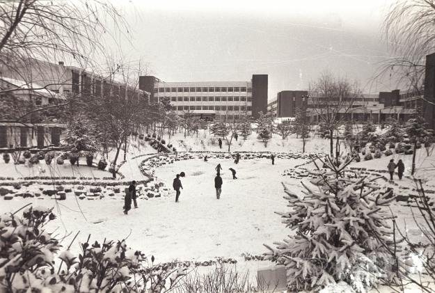 지도못-겨울(1981) 의 사진