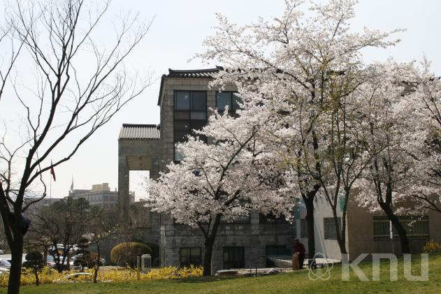봄 풍경(2007) 의 사진