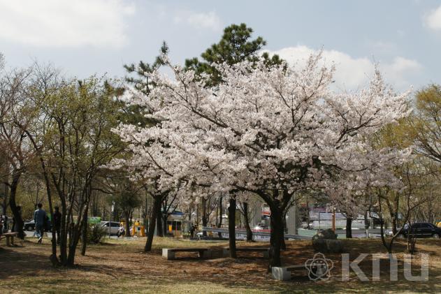 봄 풍경(2007) 의 사진