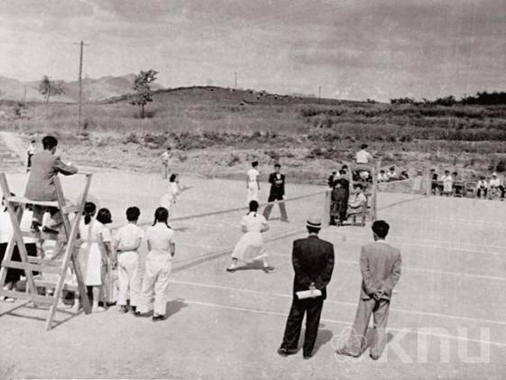 정구시합(1956) 의 사진