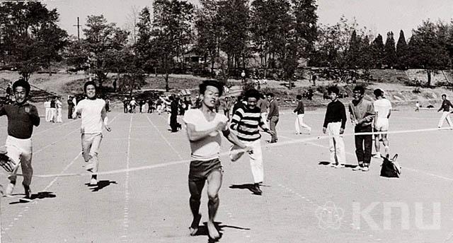 문리과대학 체육대회(1964) 의 사진
