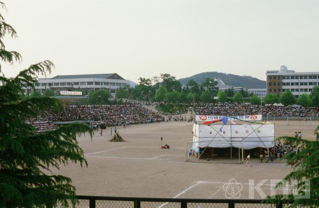 개교기념축제(복현제), 축제, 1981 봄(故 손진호 교수 촬영) 의 사진