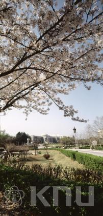 대학 풍경 - 봄 1 의 사진