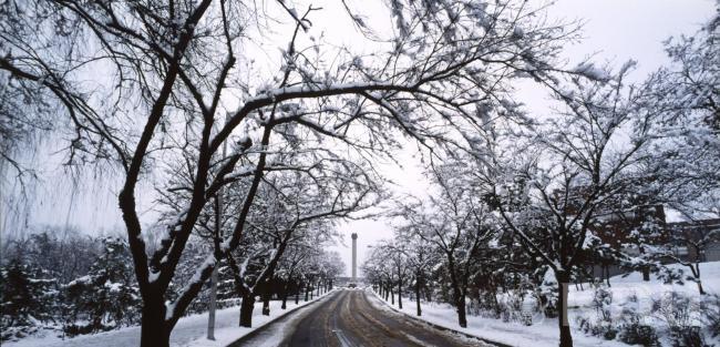 대학 풍경 - 겨울 3 의 사진