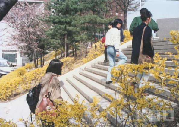 북문 계단 2 의 사진