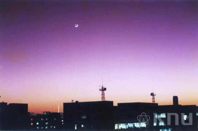 밤 하늘 풍경(2008) 1 의 사진