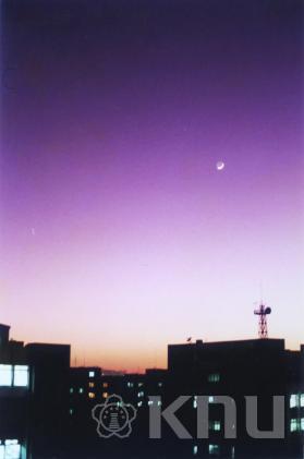 밤 하늘 풍경(2008) 2 의 사진