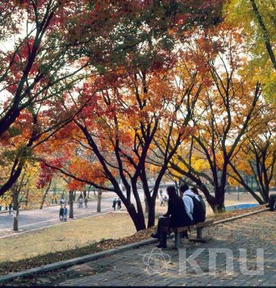 가을(1997) 4 의 사진