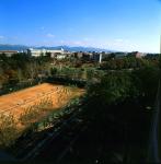 테니스장(2001) 의 사진
