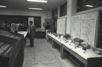 지질학과 전시회(1980)