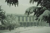 도서관(겨울)(1998)