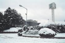 겨울(1994) 의 사진
