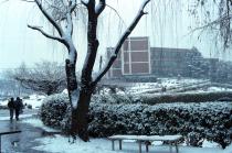 겨울(1983) 의 사진