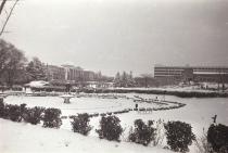 일청담-겨울(1981) 의 사진