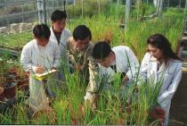 생물학과 실습 - 학생들이 식물을 관찰하고 있음