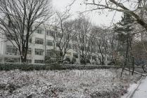 학교 겨울 눈 풍경 사진 의 사진
