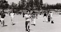 문리과대학 체육대회(1964)