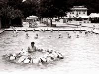 교양체육 수영강좌(1979)