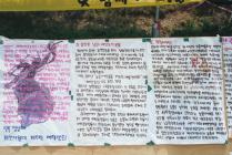 교양동-북문 주변 민주화 운동(1995) 1