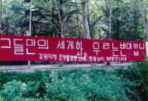 법대, 러브로드 민주화 운동(1995) 7