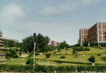 경북대학교 여름 풍경(2) 의 사진