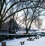 본관 전경 - 겨울(2001) 1 의 사진