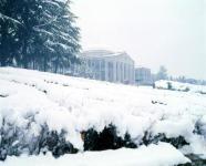 본관 전경 - 겨울(2001) 2 의 사진
