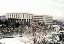 도서관 전경 - 겨울, 나뭇가지에 눈이 쌓여 있음