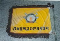 자연과학대학 상징기, 노랑 바탕의 교기 아래에 '경북대학교자연과학대학'이라고 적혀 있음