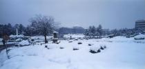 대학 풍경 - 겨울 1 의 사진