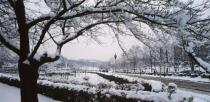 대학 풍경 - 겨울 2 의 사진