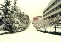 공과대학 부근 길 -  겨울 3 의 사진