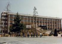 경상대학 앞 농구장(1996)