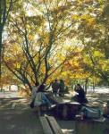 가을 (1997), 단풍나무 아래 학생 5명이 벤치에 앉아 있음