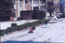 겨울, 아이들이 언덕 위에서 썰매를 타고 있음 의 사진