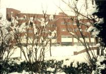 수의과대학 - 겨울 2 의 사진