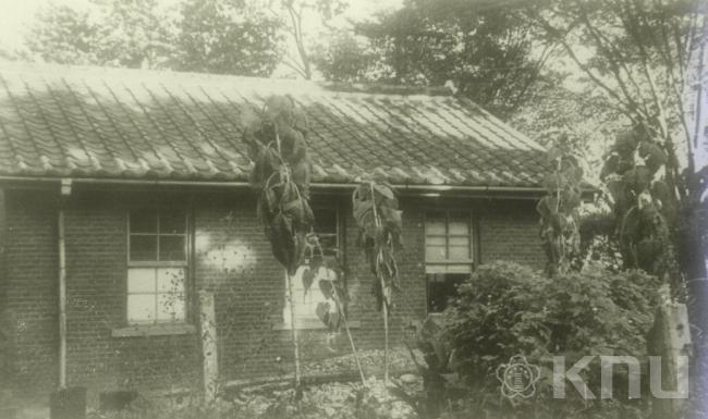 의과대학 쇄골창(1958) 의 사진
