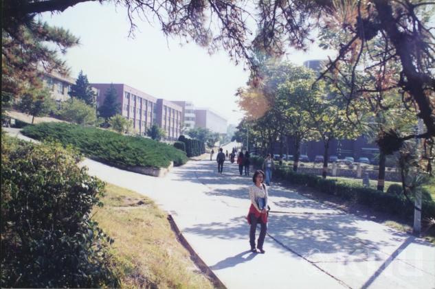 박물관 야외(2000) 의 사진