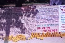 과학관앞 민주화 운동(1995) 8