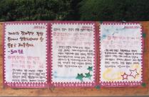 본관잔디 앞 건너 민주화 운동(1995) 44