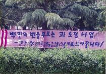 기기동 주변 민주화 운동(1995) 38
