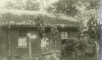 의과대학 쇄골창(1958)